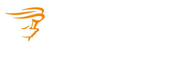 logo lamberink